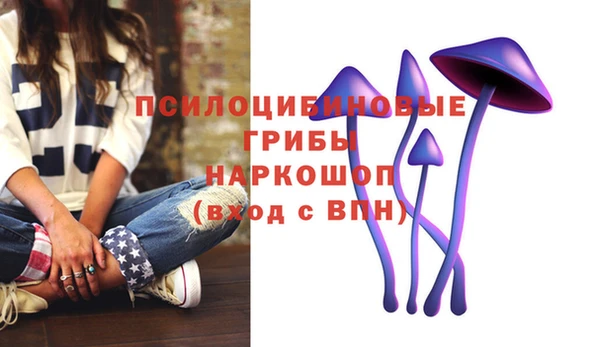 СК Белокуриха