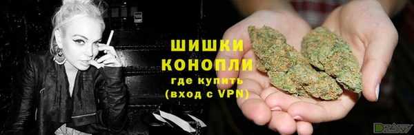 СК Белокуриха