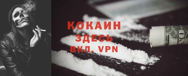 СК Белокуриха